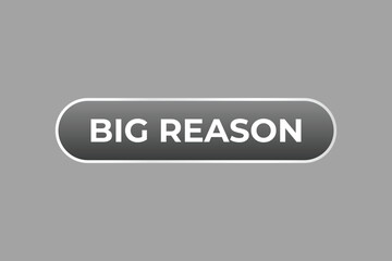 Big Reason Button. web template, Speech Bubble, Banner Label Big Reason.  sign icon Vector illustration