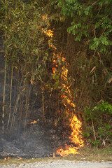 Highway with grass and trees beside the road heated up to the point that a fire appeared.