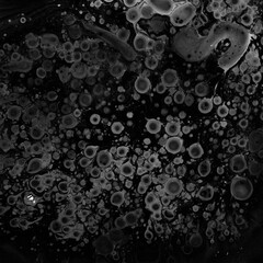 Distressed Elegance | A Collection of Grunge, Rough, and Fermented Backgrounds for Trendy and Stylish Graphic Designs and Displacement Maps