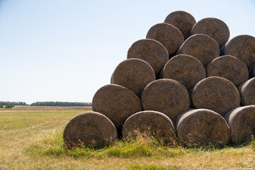 Hay bales on a farm