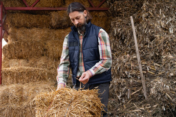 Bearded adult caucasian farmer in the hayloft.	
