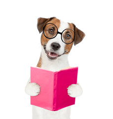Funny Jack russel terrier puppy wearing eyeglasses holding open book and looking at camera. isolated on white background