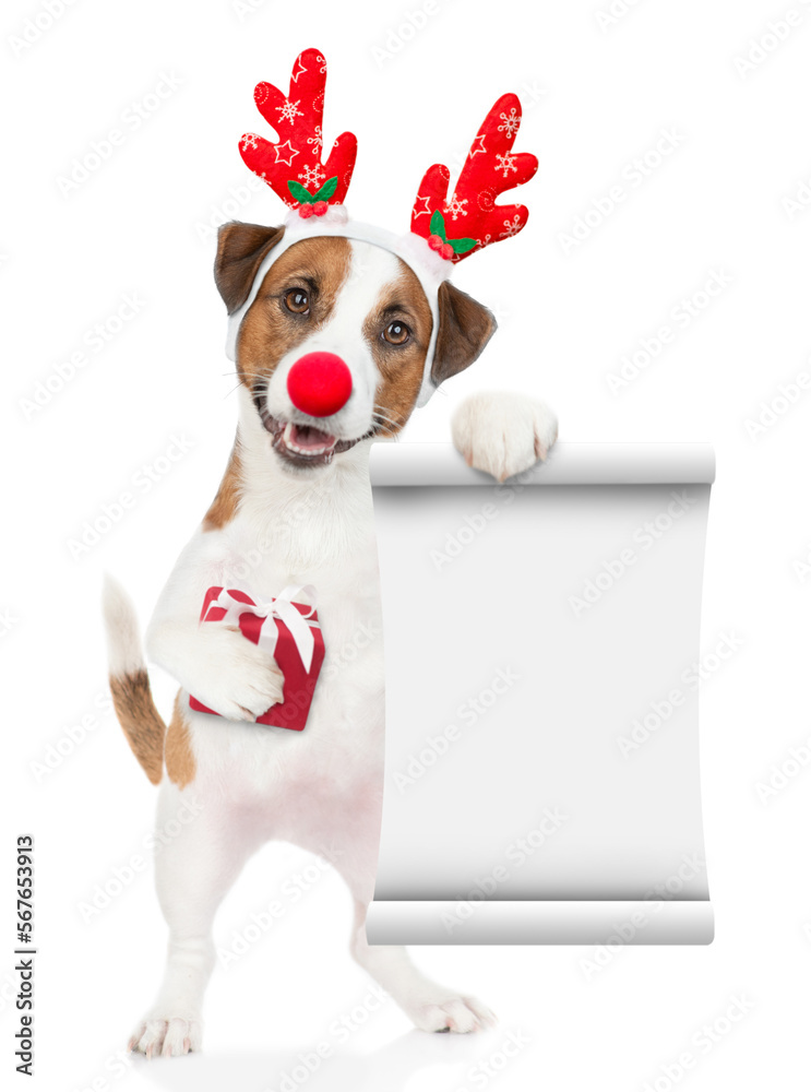 Poster jack russell terrier puppy dressed like santa claus reindeer rudolf holding gift box and showing emp