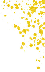 Yellow Flower Blur Vector White Background.