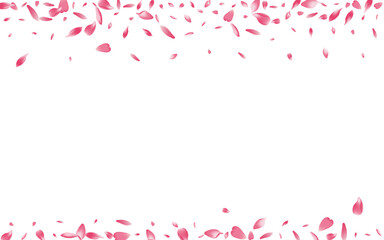 Transparent Rose Petal Vector White Background.