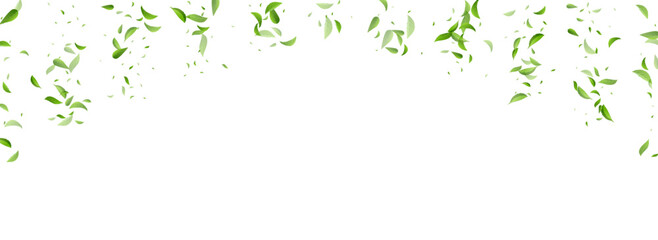 Swamp Leaves Abstract Vector Panoramic White
