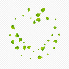 Lime Foliage Forest Vector Transparent Background