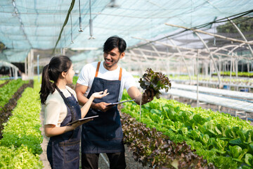  Asian woman and  man farmer working together in organic hydroponic salad vegetable farm. using tablet inspect quality of lettuce in greenhouse garden. ..