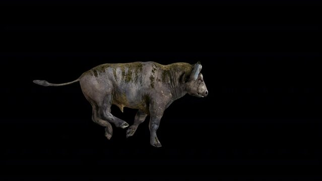 Buffalo Bison 3D Animation Transparent Alpha Video