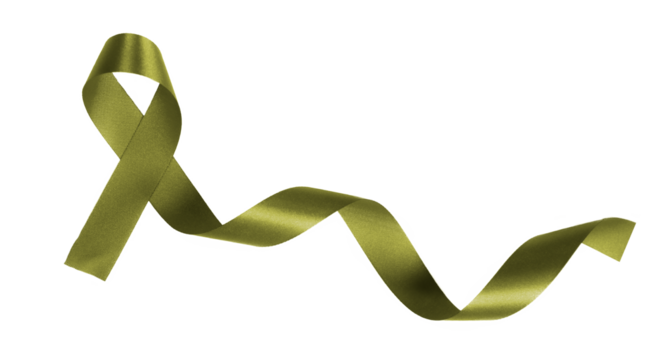 olive green ribbon on transparent background, PNG image.