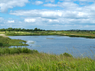 View over wetlands at North Cave Wetlands, East Yorkshire, England - obrazy, fototapety, plakaty