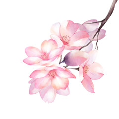 Naklejka na ściany i meble Cherry Blossom bouquet watercolor