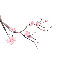 Cherry Blossom bouquet watercolor