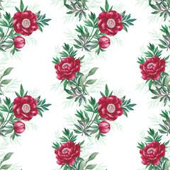 Seamless pattern with beautiful peonies on a white background. Watercolor illustration.