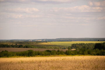 Fototapeta na wymiar Field landscape in summer