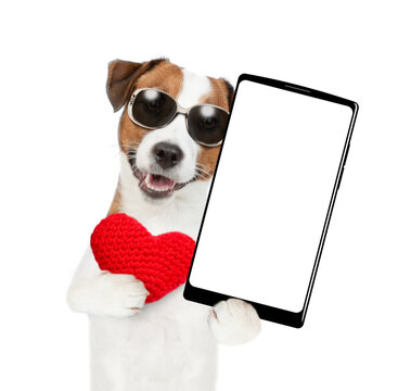 Happy jack russell terrier puppy wearing sunglasses hugs red heart and holds big smartphone with white blank screen in it paw, showing close to camera. isolated on white background