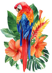 Parrot macaw with flowers and palm leaves, exotic birds on isolated white background. Watercolor hand drawn illustration © Hanna