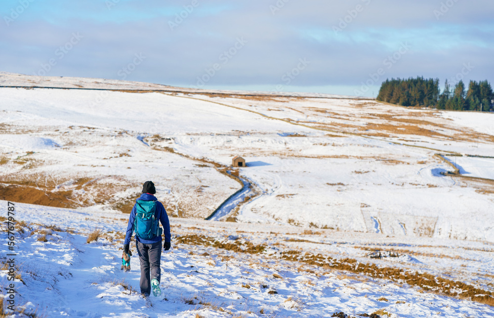 Poster A hiker walking across the moors below Bolt's Law near Boltshope in winter near Blanchland, Northumberland  in England UK.