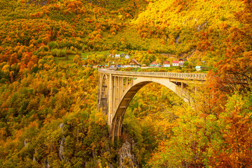 Bridge of Dzhurdzhevich on Tara (Most na Djurdjevica Tari ). Golden autumn in the mountains of Montenegro in the national park. Trees with golden, yellow, red and green leaves