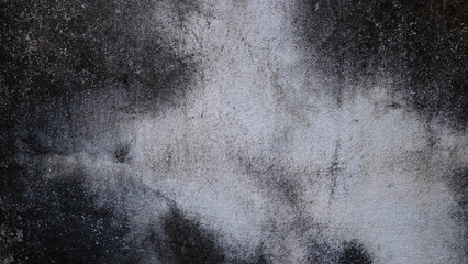 The paint on the cement wall, some of it peeling off. blur or berry