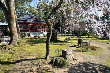 大覚寺　回廊から霊明殿を望む　京都市右京区嵯峨