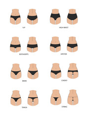 Types of women's panties. Front and behind view. Set of underwear - slip, high waist, string, thong, tanga, bikini, cheeky, hipster, boyshorts. Illustration on transparent background