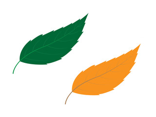 Leaf vector design and clip art isolated on white.