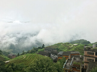 Fototapeta na wymiar rice terraces ‎⁨from Longsheng, Guangxi⁩, ⁨China⁩