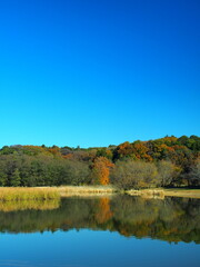 千駄堀池のある冬の21世紀の森と広場風景　公園風景