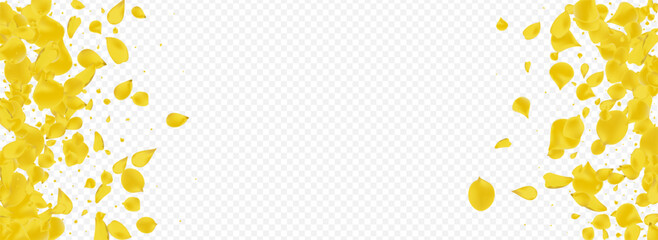 Yellow Sakura Blur Vector Panoramic Transparent