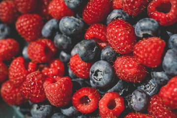 Red and black berries, a colorful and nutritious display of nature's sweetness