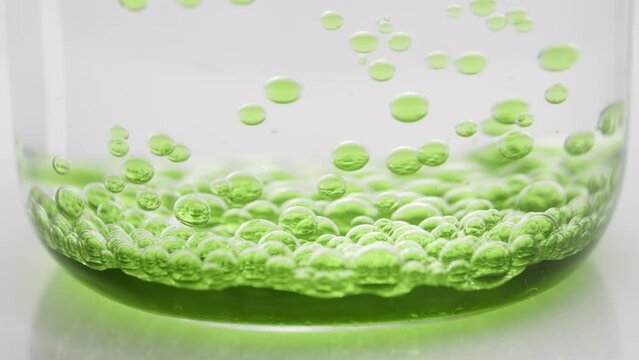 Side view extreme close-up shot of green transparent bubbles sink to the bottom of beaker with water on grey background | Abstract face care cosmetics with avocado oil formulation concept