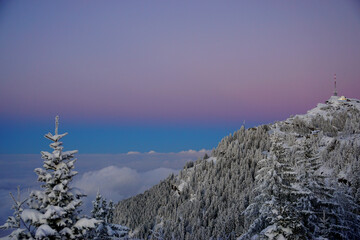 Nebelmeer Sonnenuntergang Alpen Schweiz