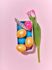 Top view layout with colored easter eggs on pink background. Creative template for festive content