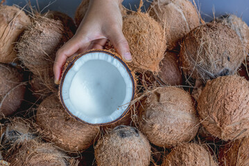 Hand carry piece of coconut for made virgin oil.