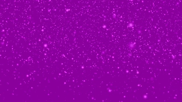 Many white snowflakes falling down on a purple background