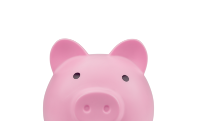Close up pink piggy bank