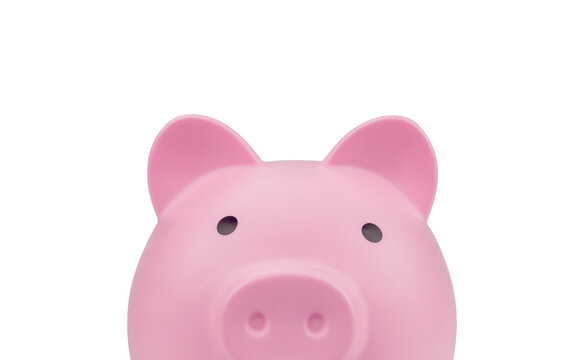 Close up pink piggy bank