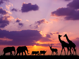 Fototapeta na wymiar Animal silhouettes in sunset background
