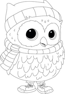 little owl image for coloring
