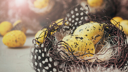 Holiday still life with decorative quail eggs in a brown nest among feathers. Easter decor with selective focus
