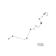 Vector Constellation Hydra on  white background. Doodle, sketch, drawn style, set of linear icons of all 88 constellations.