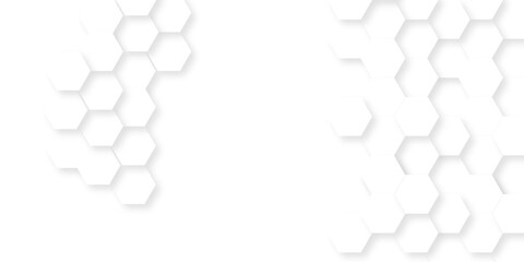 Background with hexagons . Abstract background with lines . white texture background . white and hexagon abstract background. white paper texture and futuristic business .