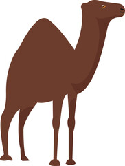 Camel Vector Icon
