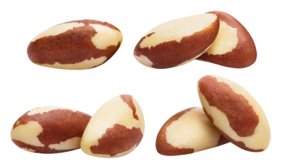 Collection of delicious brazil nuts cut out
