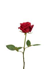 red rose element easy to use flowers