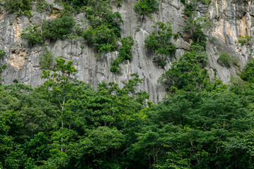 The stone wall of a mountain covered with trees