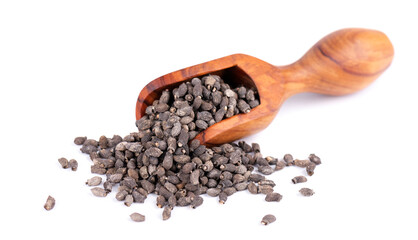 Borage seeds in wooden scoop, isolated on a white background. Borago officinalis seeds.