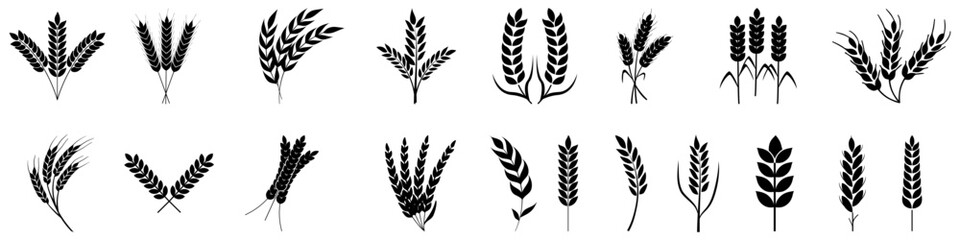 Wheat icon vector set. Cereals illustration sign collection. Harvest symbol. Farm logo.