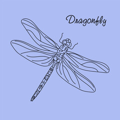 Dragonfly Line art. Hand drawn Damselfly illustration. linear style. vector illustration